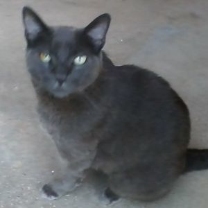 Meet your Posher, Leslie